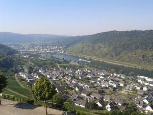 Udsigt til Mosel